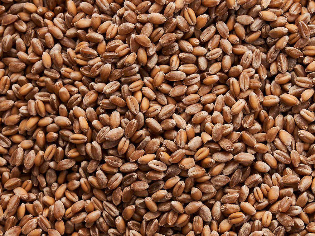 Weizen in der Detailansicht