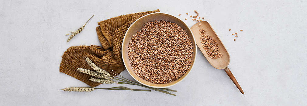 Изображение за пшеница