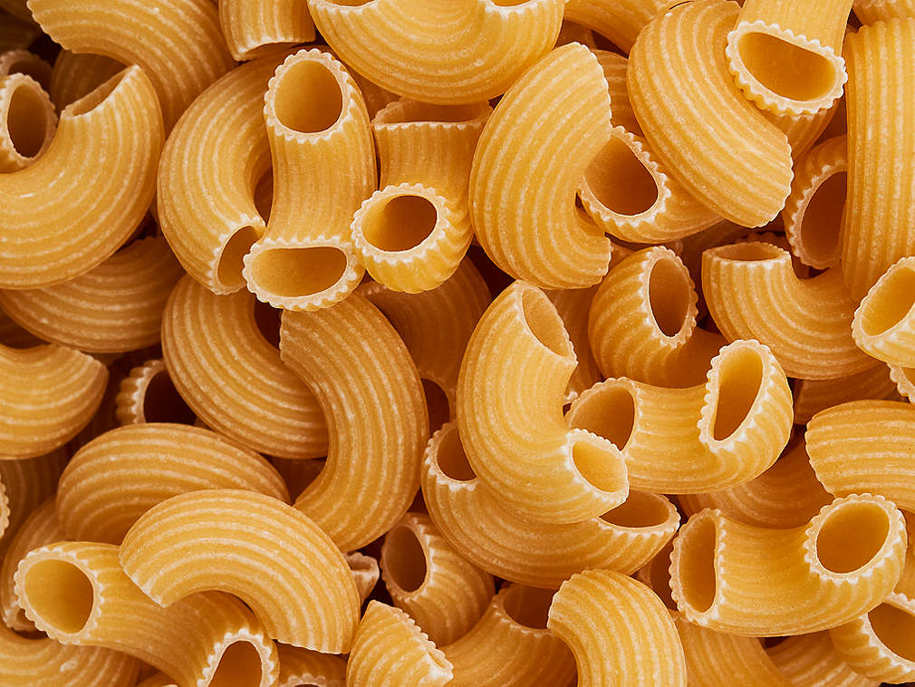 Vaječné těstoviny v detailním pohledu