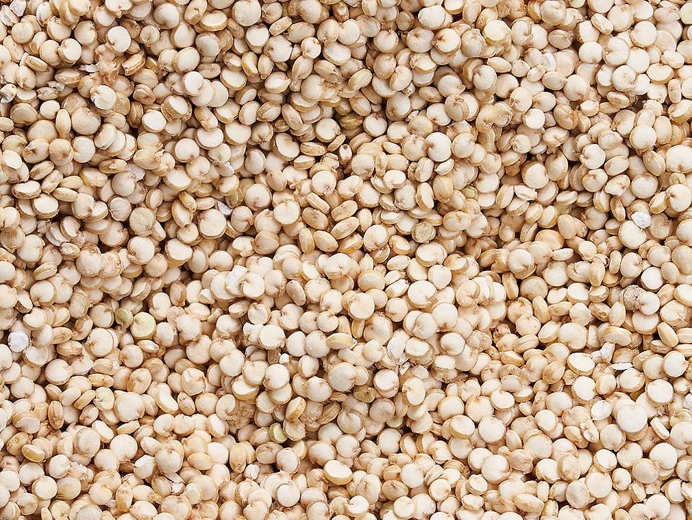 Quinoa v detailním pohledu
