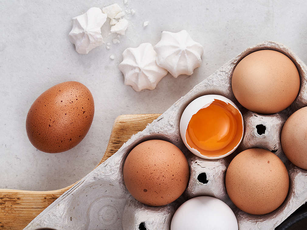 Яйца, подробный вид