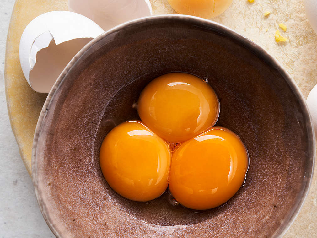 Świeże żółtko – szczegółowe informacje