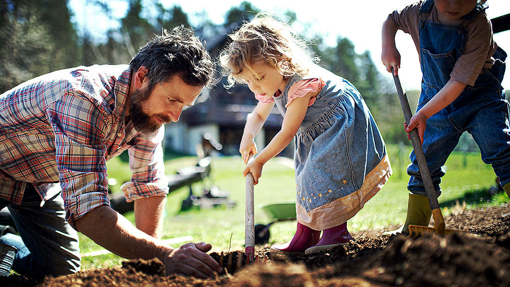 Un tată și copiii săi mici se ocupă de grădinărit pe vreme bună și sapă împreună o groapă în pământ.