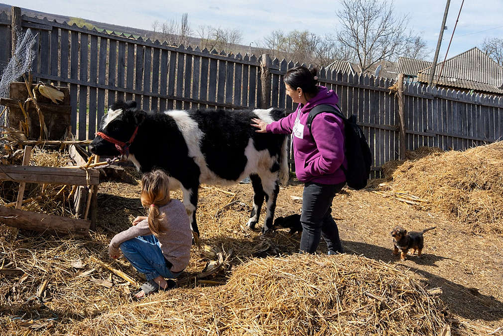 Peste 100 de familii din satele Moldovei au primit sprijin pentru a a-și dezvolta gospodăria și a învăța o meserie