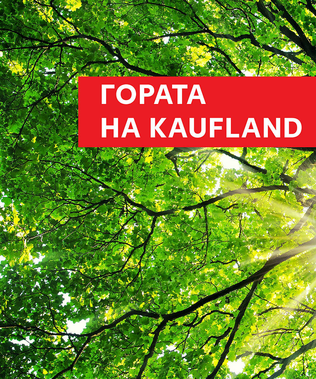 Гората на Kaufland