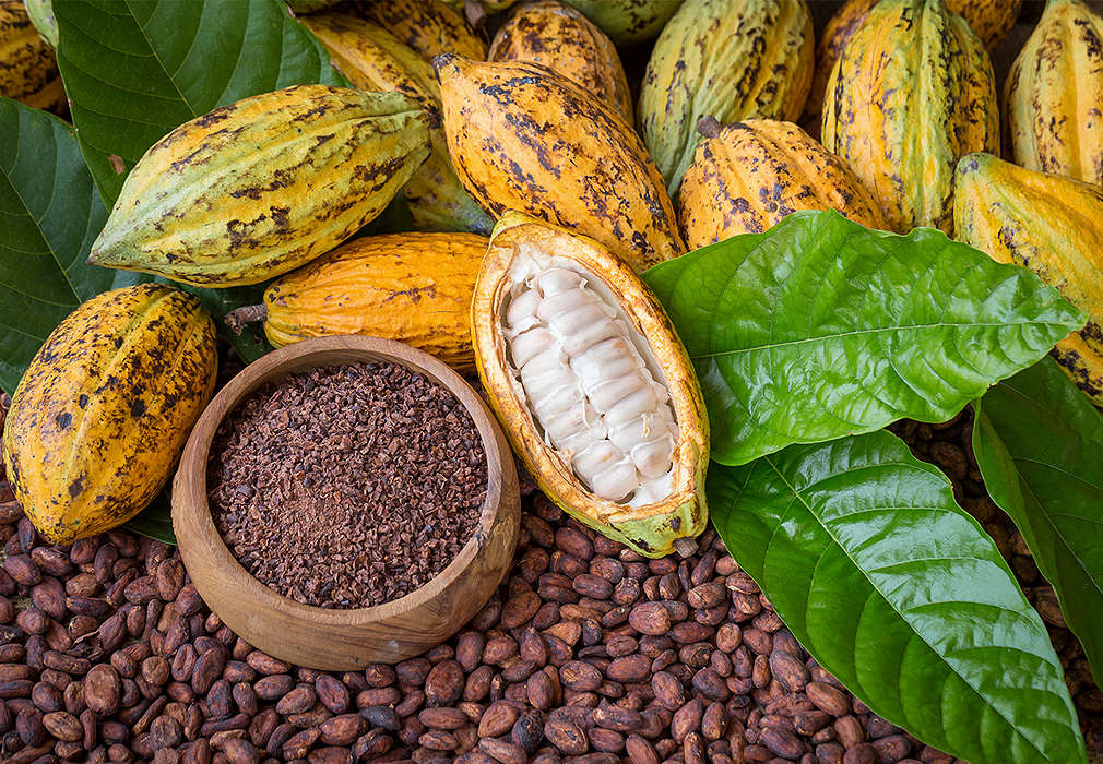 Cacao cu certificare UTZ