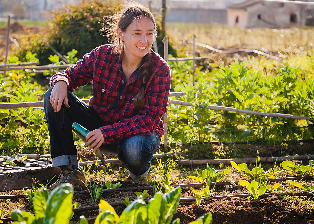 Rolniczka kontroluje jakość warzy na polu