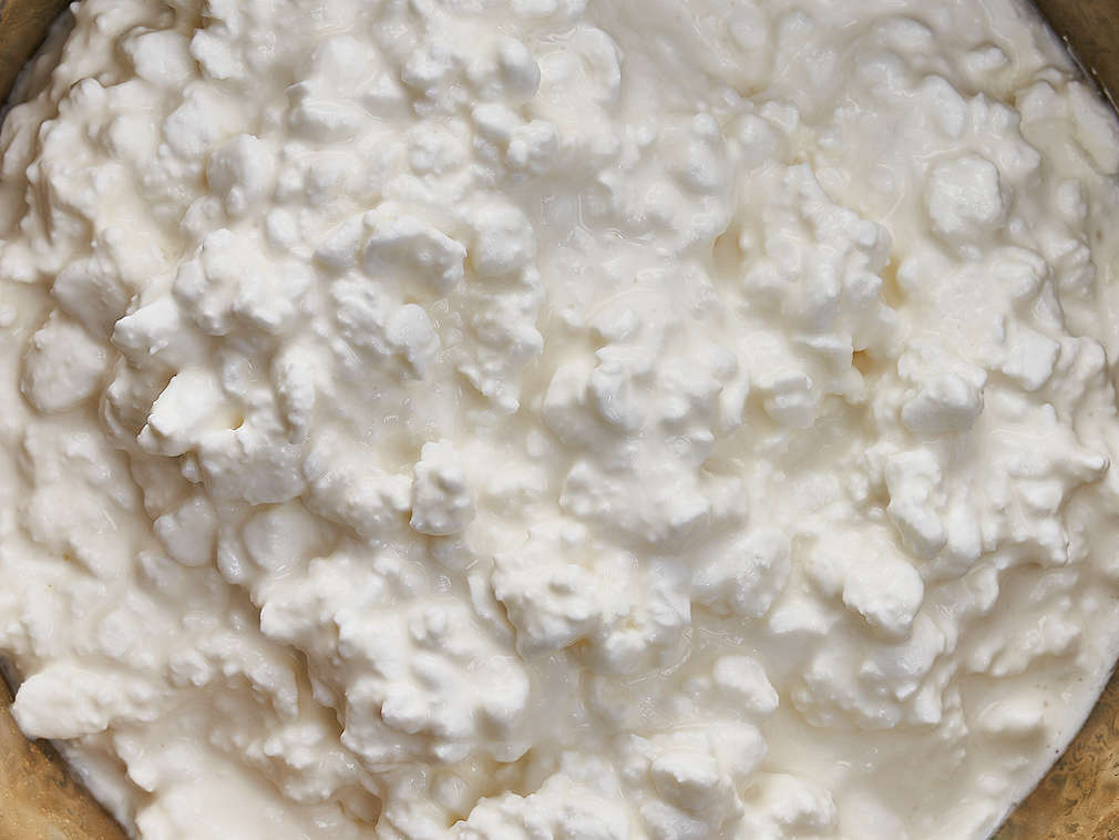 Körniger Frischkäse in der Detailansicht