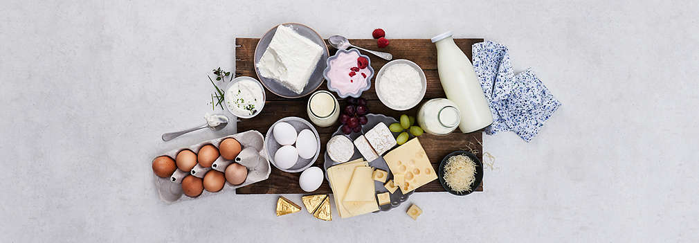Abbildung frischer Milchprodukte und Eier