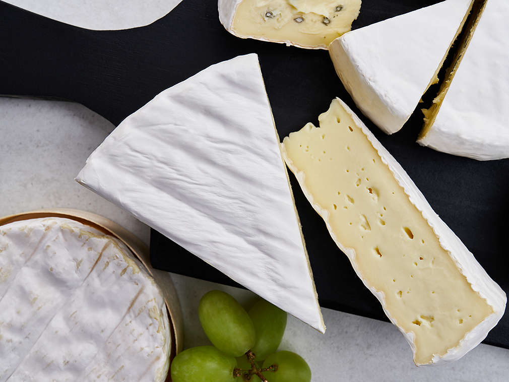 Detailný pohľad na čerstvý mäkký syr