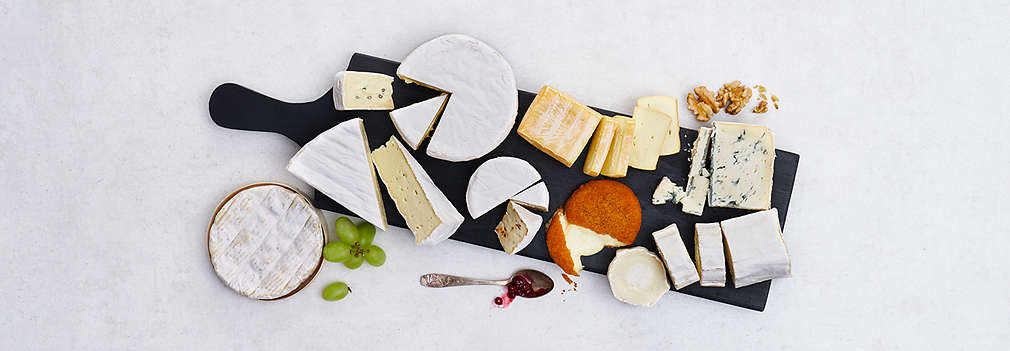 Obrázek druhů čerstvého sýra