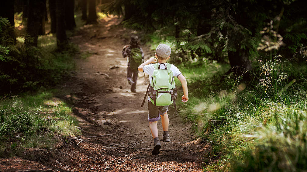Un băiat în plan secundar cu șapcă și rucsac verde se plimbă pe o potecă de pădure, un alt băiat merge în fața lui.