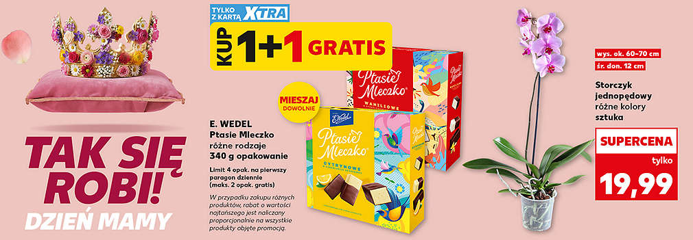 storczyk i ptasie  mleczko