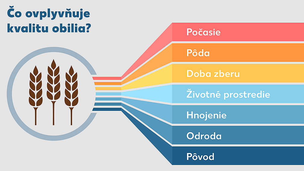 Faktory vplývajúce na kvalitu obilia