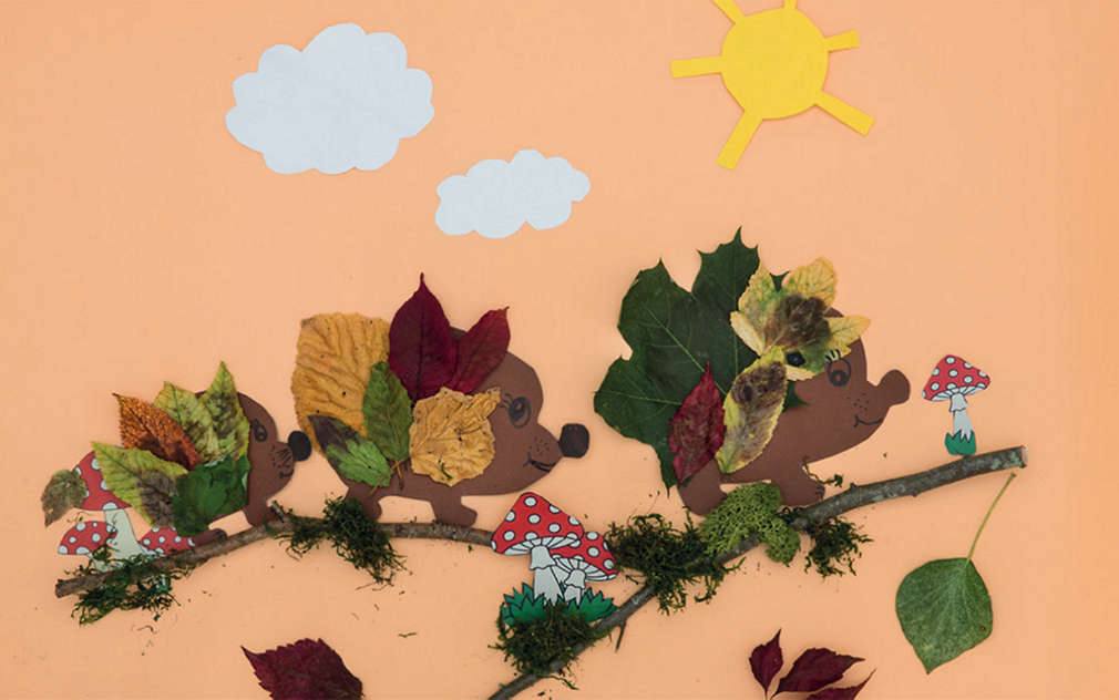 Pohľad zhora na troch ježkov, ktorí sú vytvorení z rôznych prírodných materiálov.