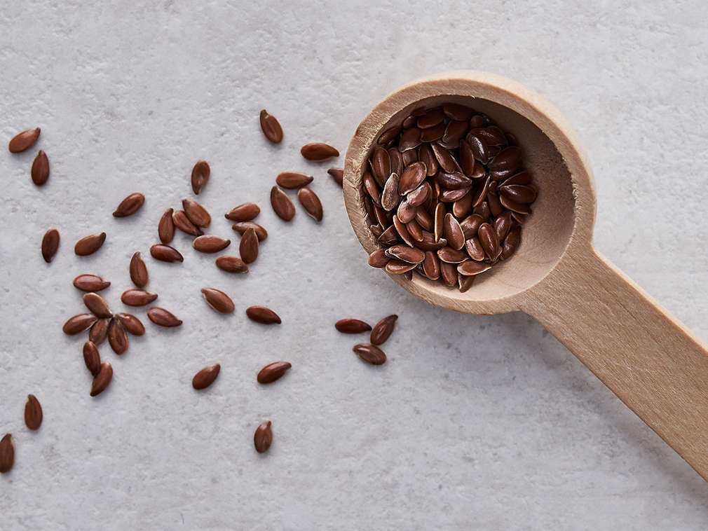 Sjemenke lana u detaljnom prikazu