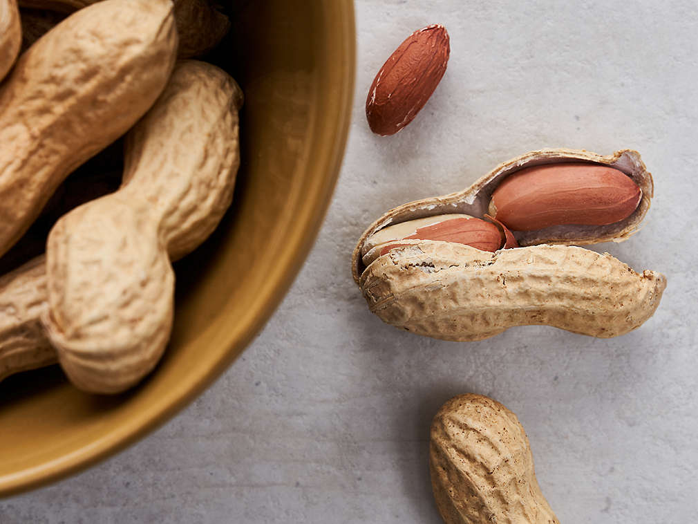 Арахис, подробный вид