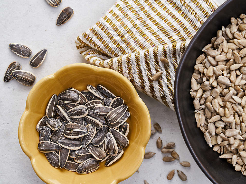 Семечки подсолнечника, подробный вид