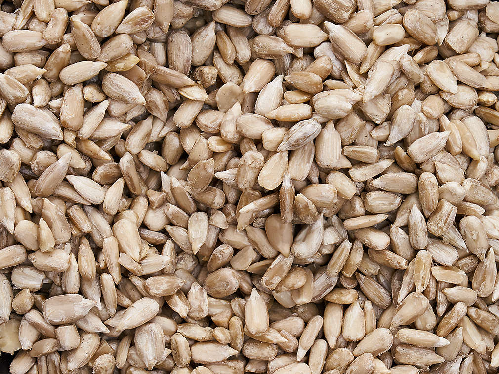 Семечки подсолнечника, подробный вид