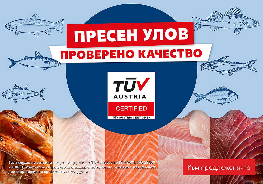 Пресен улов, проверено качество: риба в свежа опаковка от сертифицираната ни витрина