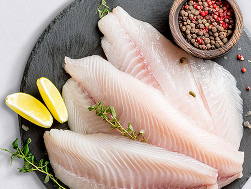 Świeży sum – szczegółowe informacje