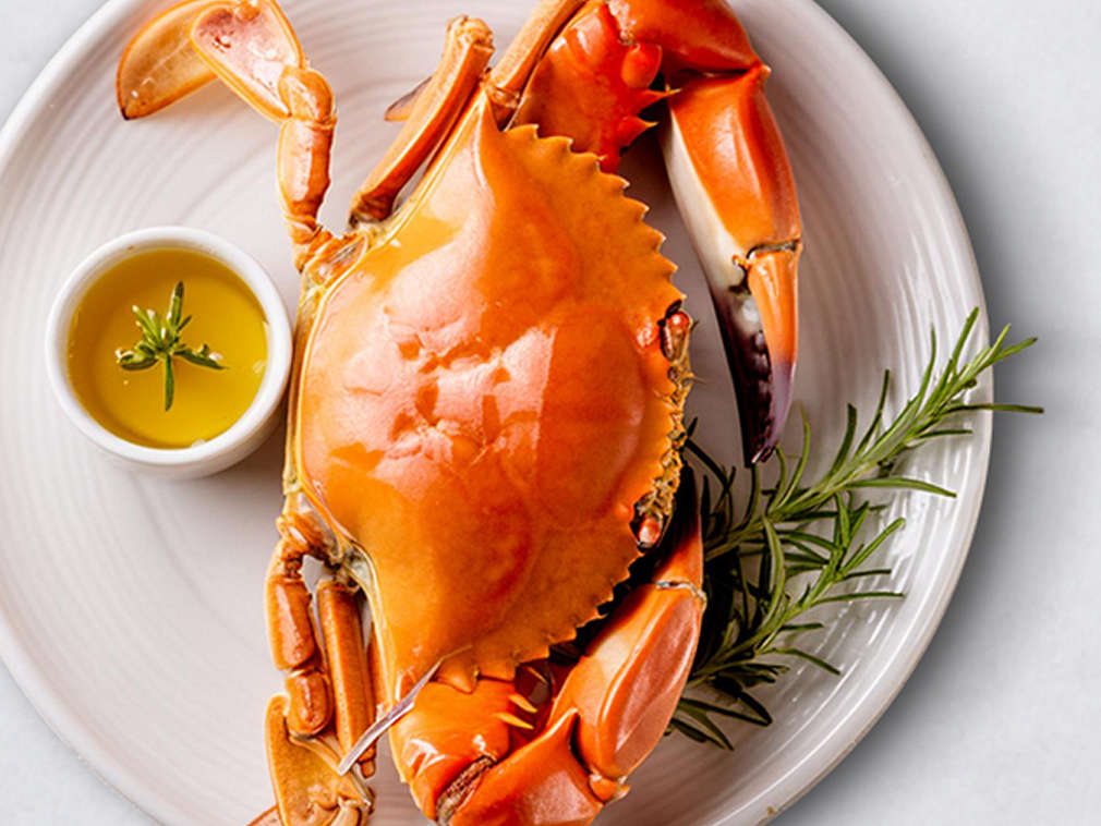 Świeży krab – szczegółowe informacje