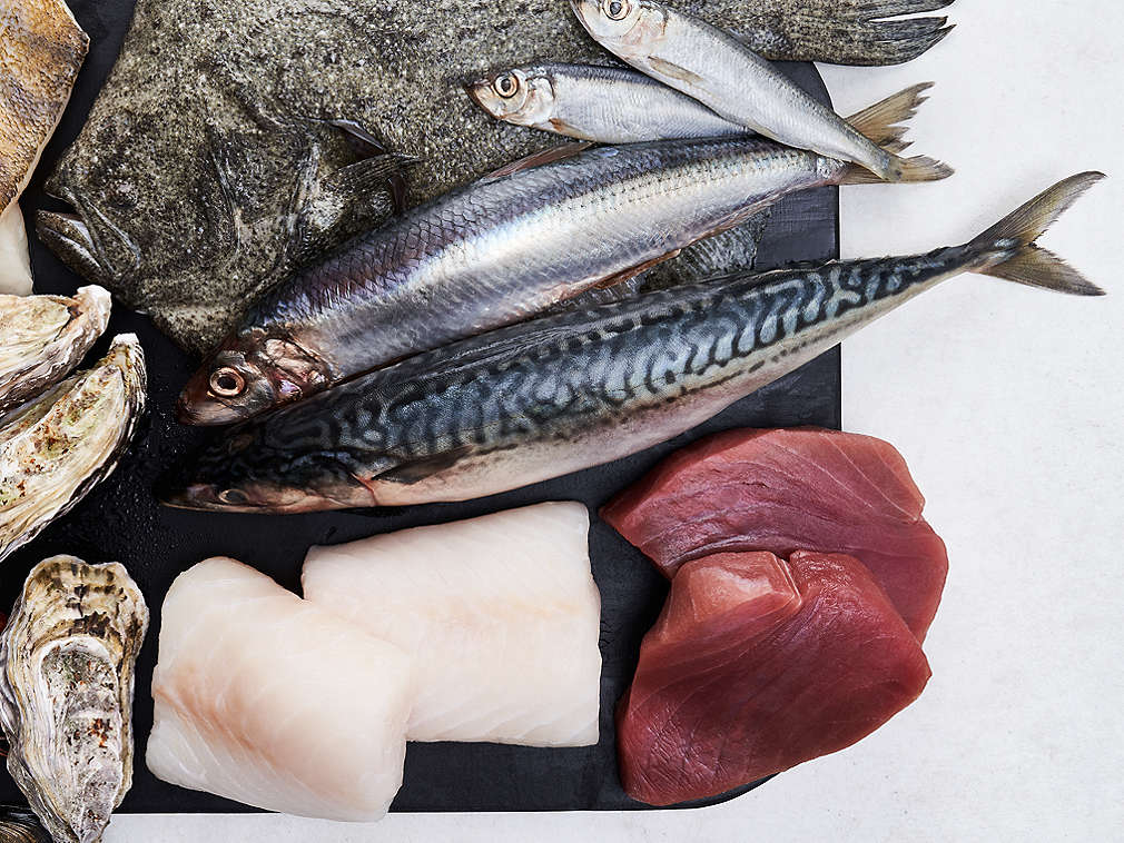 Detailný pohľad na čerstvé ryby