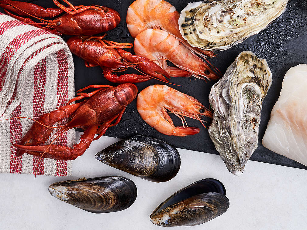 Detailný pohľad na čerstvé ryby