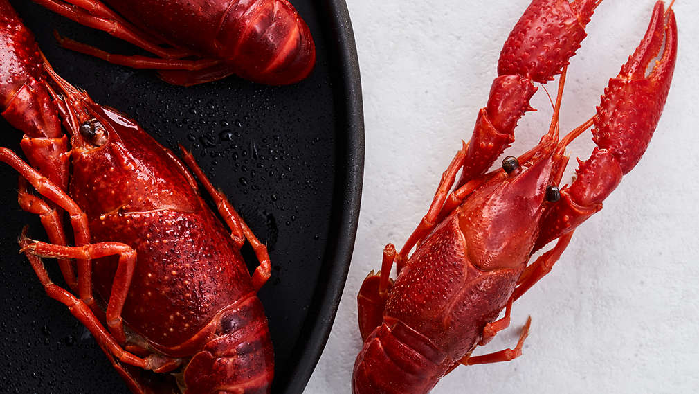 Obrázek říčních raků