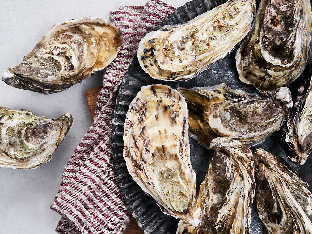 Čerstvé ústřice v detailním pohledu
