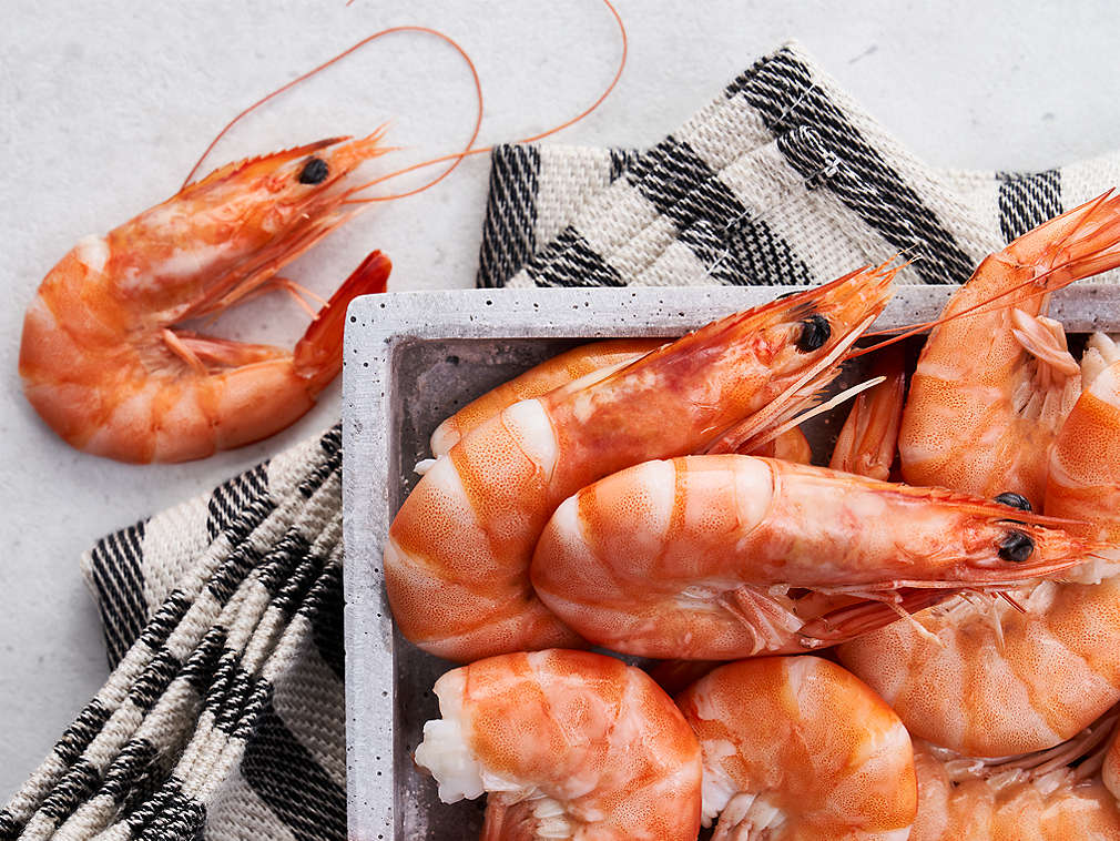 Frische Garnelen in der Detailansicht