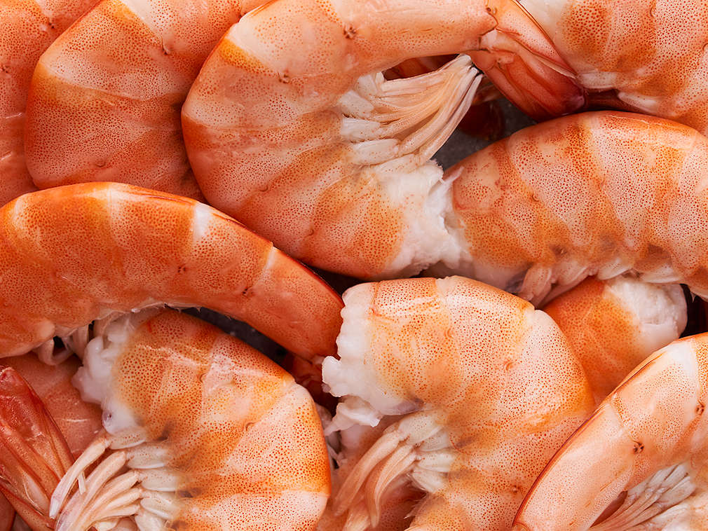 Frische Garnelen in der Detailansicht