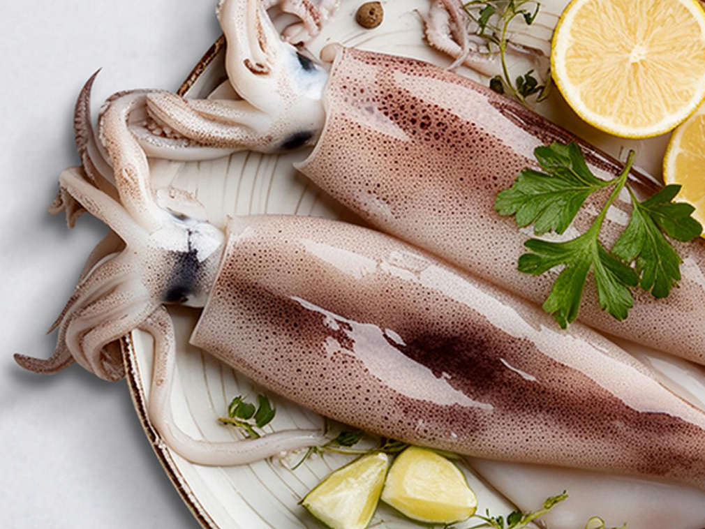 Świeże kalmary – szczegółowe informacje