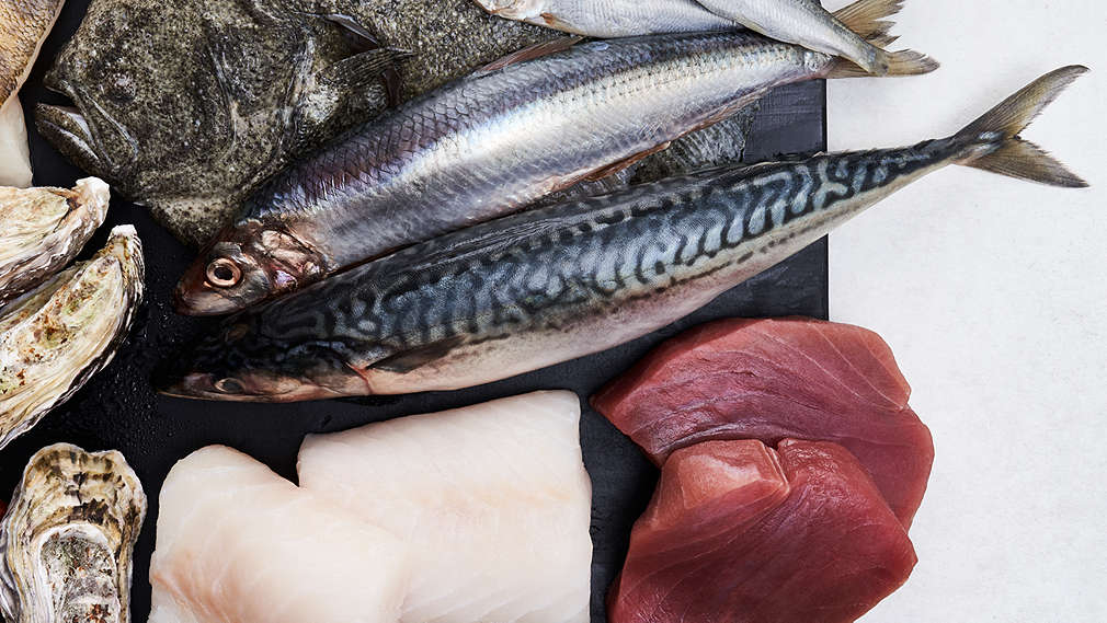 Abbildung verschiedener Fischsorten