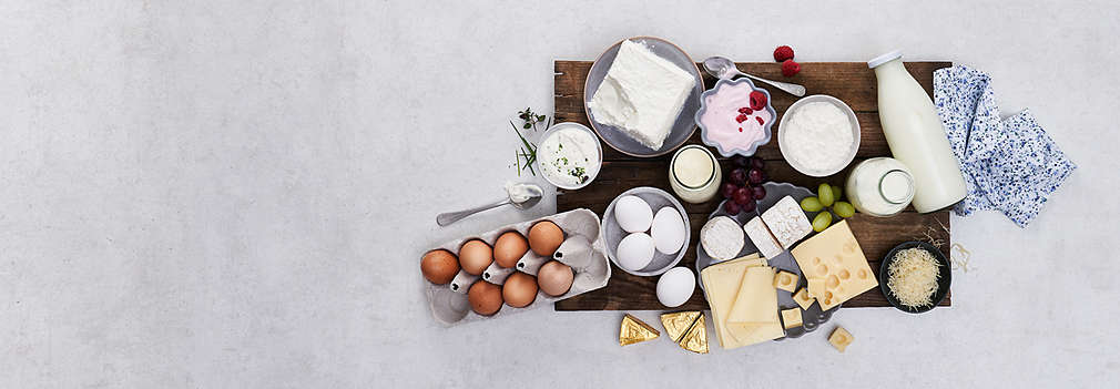 Изображение с различными молочными продуктами и яйцами