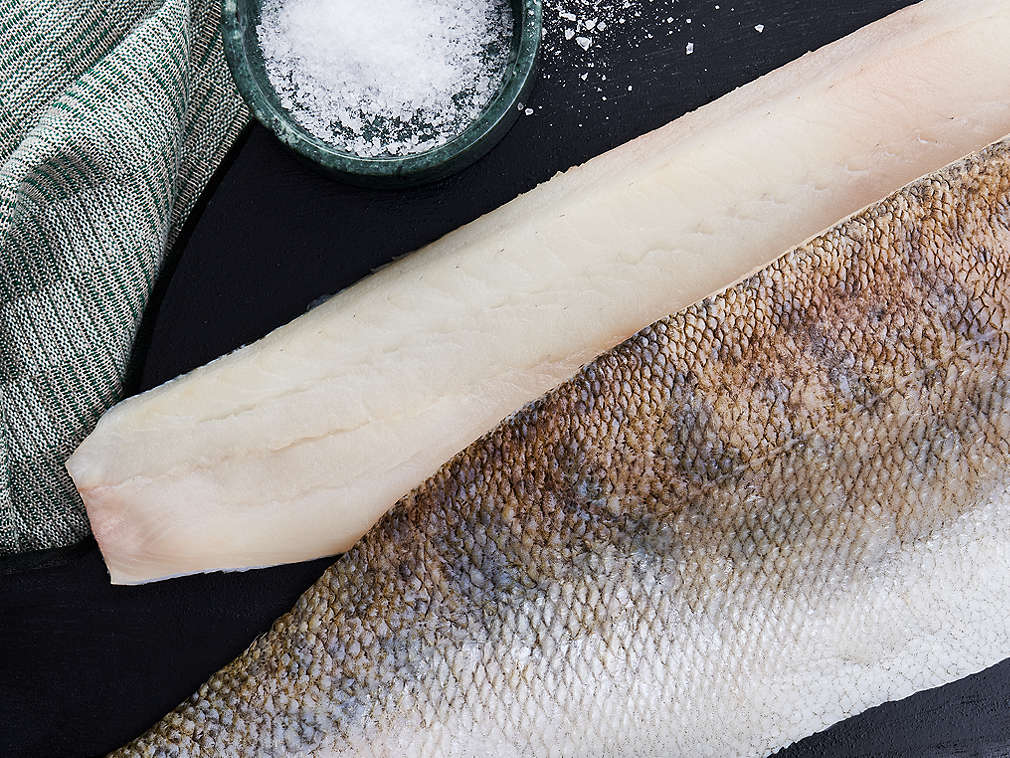 Świeży sandacz – szczegółowe informacje