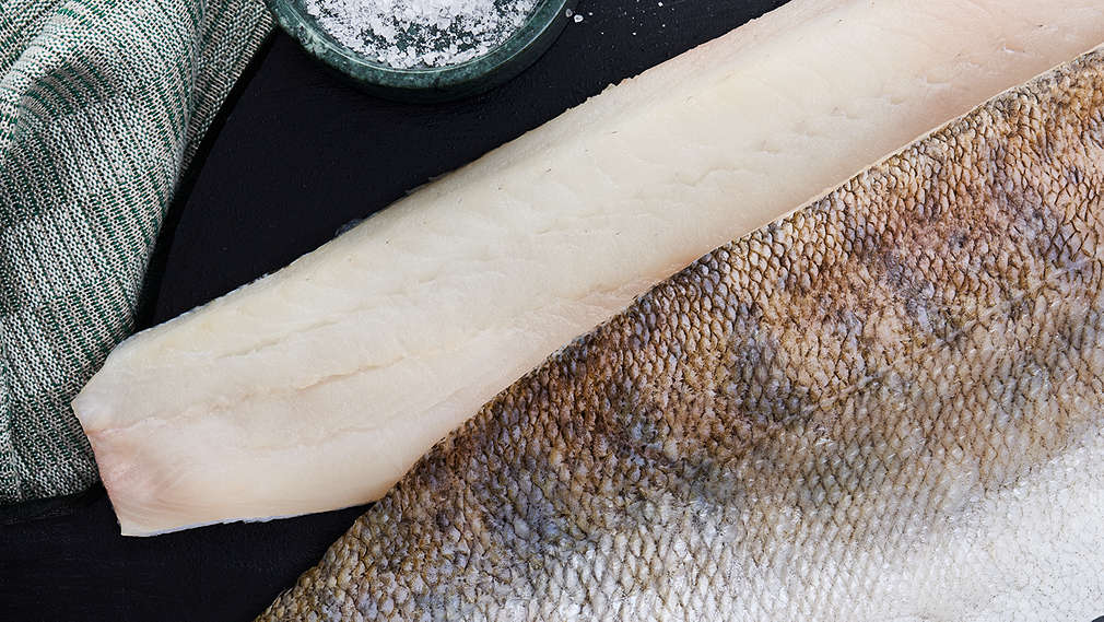 Изображение с судаком