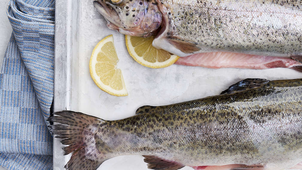 Изображение с форелью