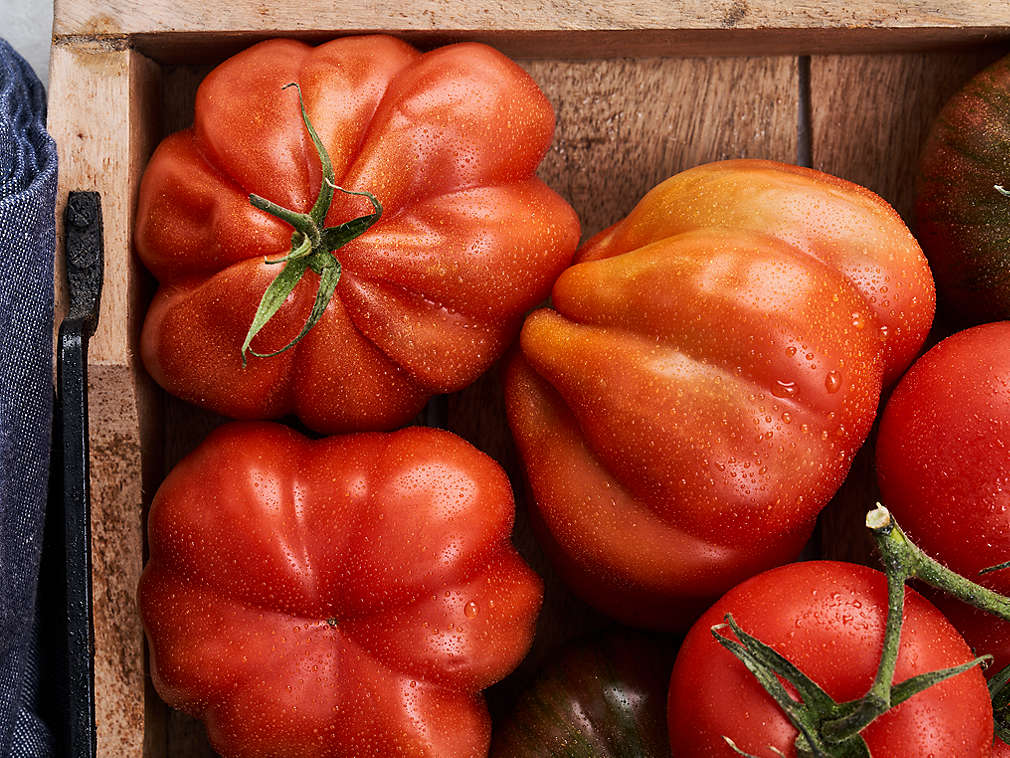 Свежие томаты, подробный вид