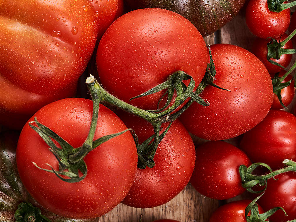Свежие томаты, подробный вид