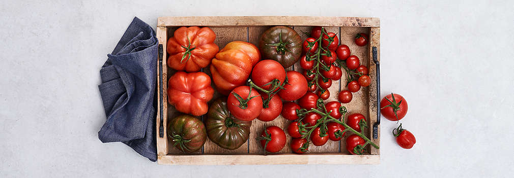Zdjęcie świeżych pomidorów