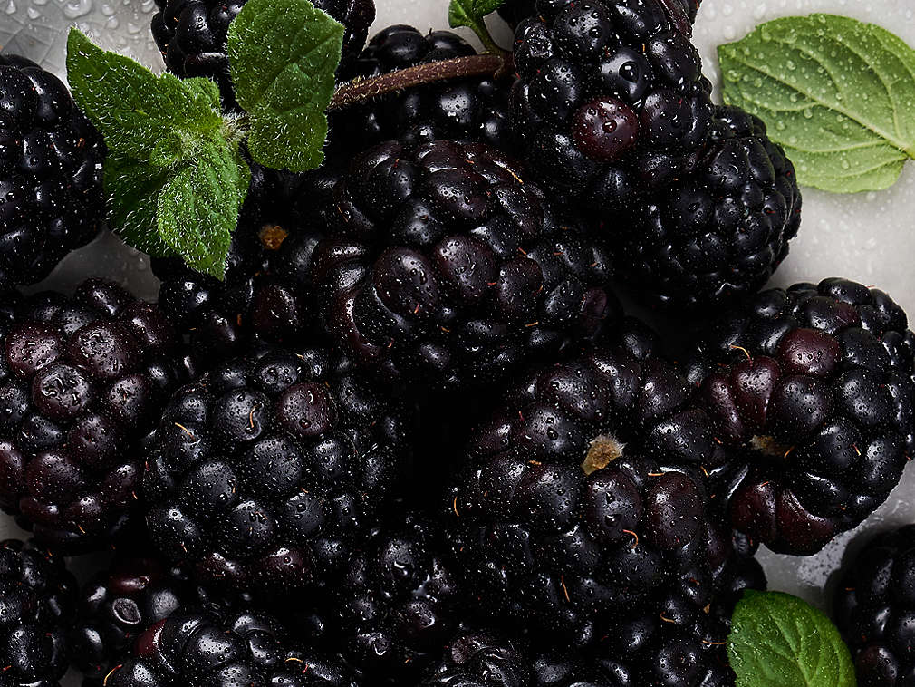 Frische Brombeeren in der Detailansicht