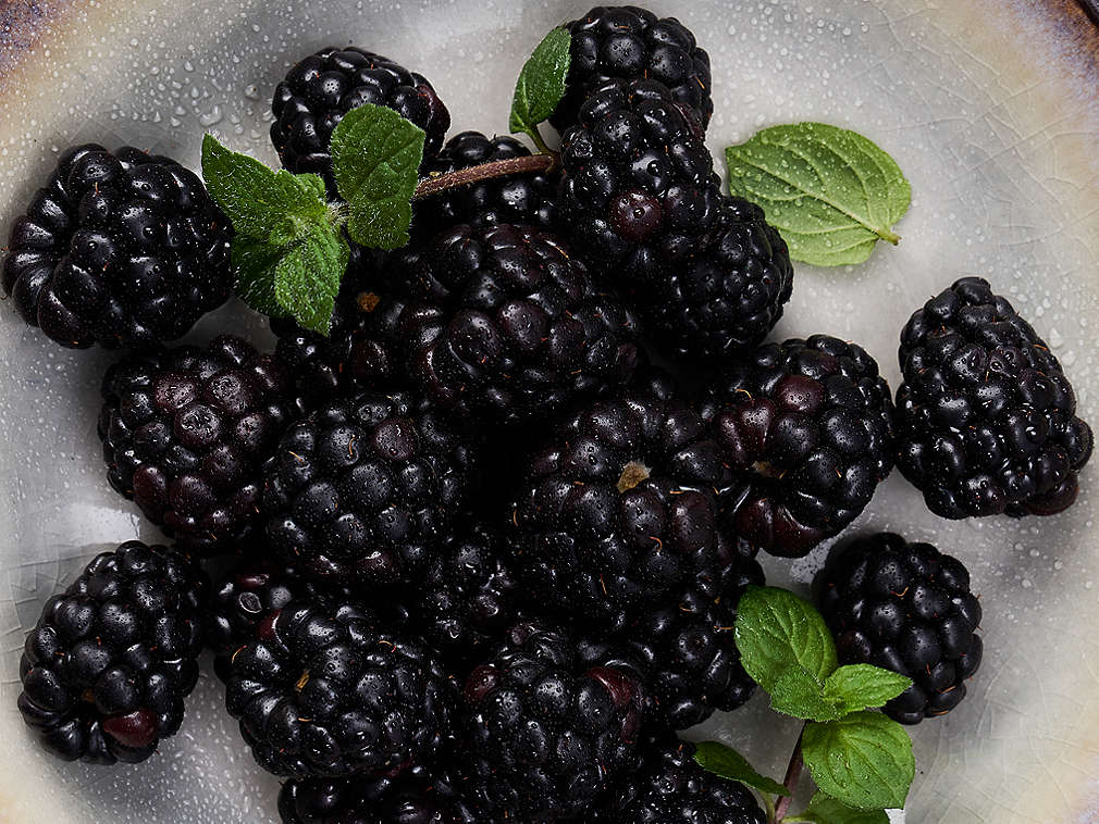 Frische Brombeeren in der Detailansicht