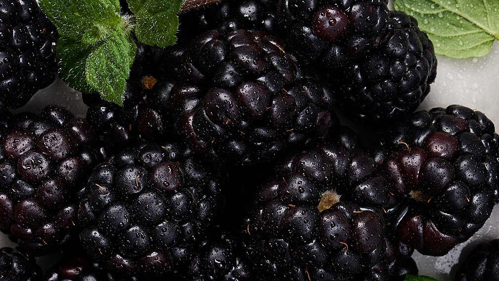 Abbildung von Brombeeren