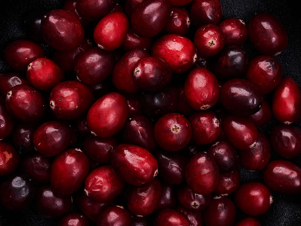 Свежая клюква, подробный вид