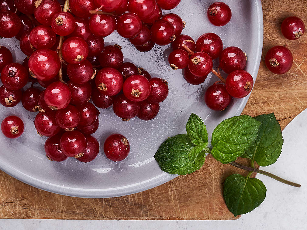 Coacăze proaspete, în detaliu