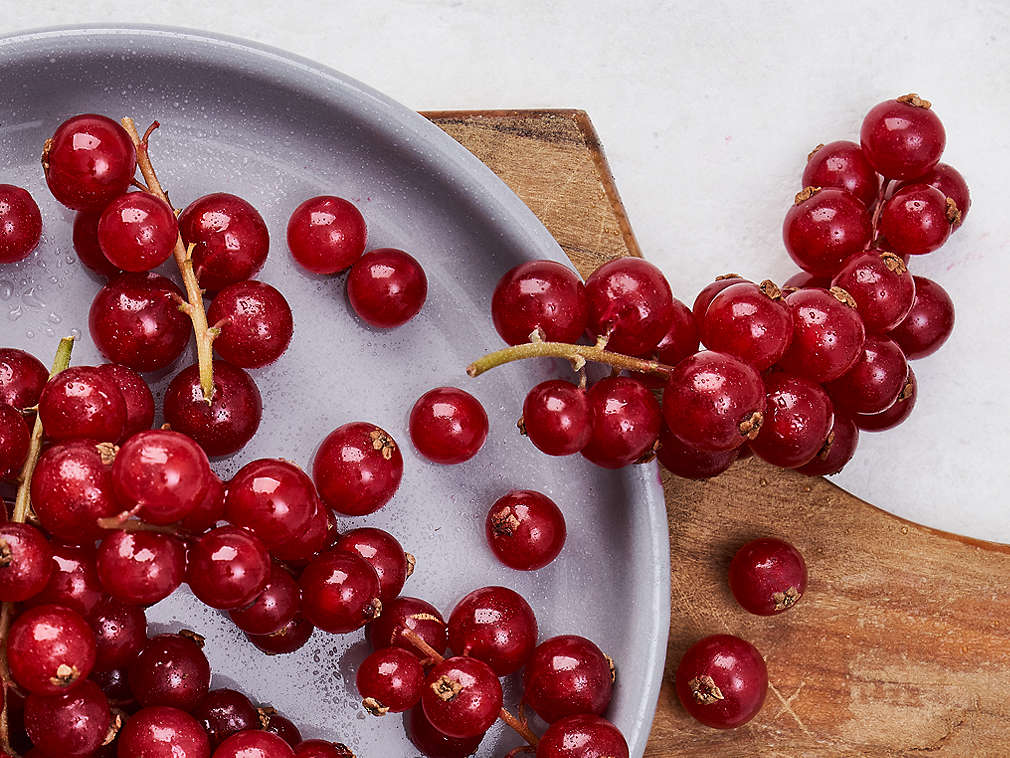 Coacăze proaspete, în detaliu