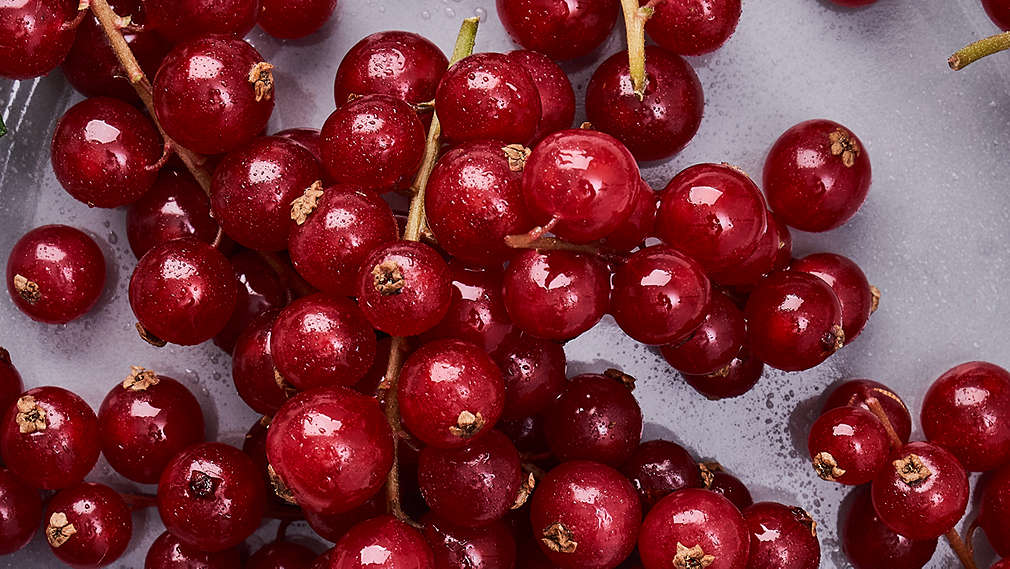 Abbildung von Johannisbeeren