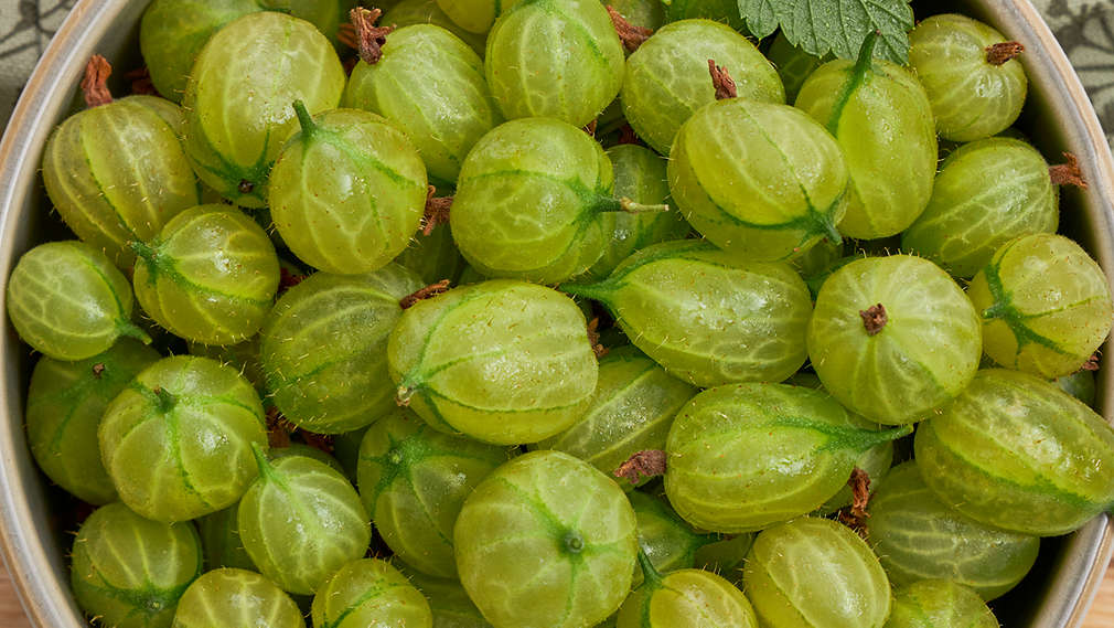 Abbildung von Stachelbeeren