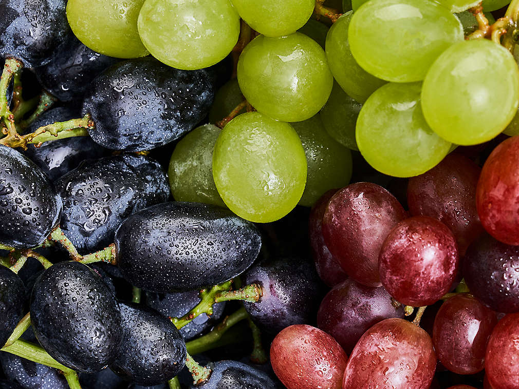 Detailný pohľad na čerstvé hrozno